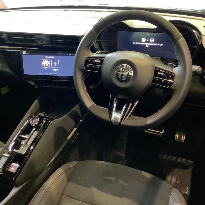 JUNIOR Ibrida INTENSA