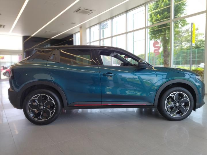 JUNIOR Ibrida SPECIALE