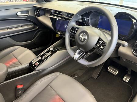 JUNIOR Ibrida PREMIUM