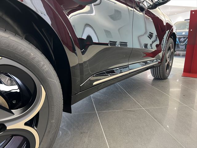 JUNIOR Ibrida INTENSA