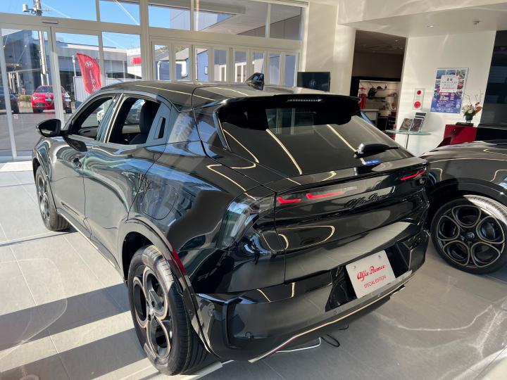 JUNIOR Ibrida INTENSA