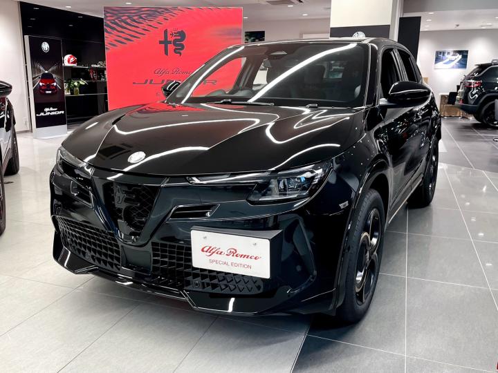 JUNIOR Ibrida INTENSA