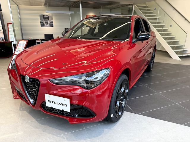 STELVIO TRIBUTO ITALIANO