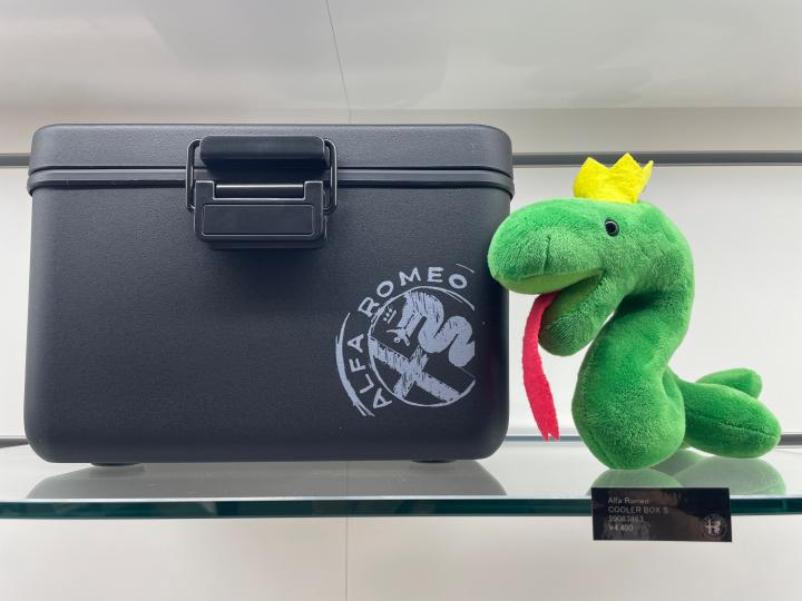 COOLER BOX S