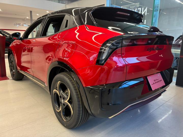 JUNIOR Ibrida INTENSA