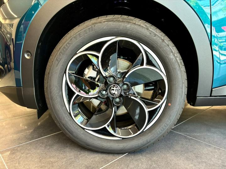 JUNIOR Ibrida SPECIALE