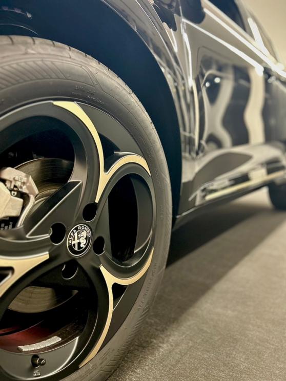 JUNIOR Ibrida INTENSA