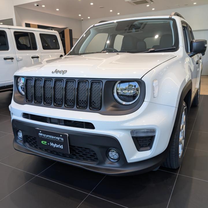 Renegade Altitude e-Hybrid