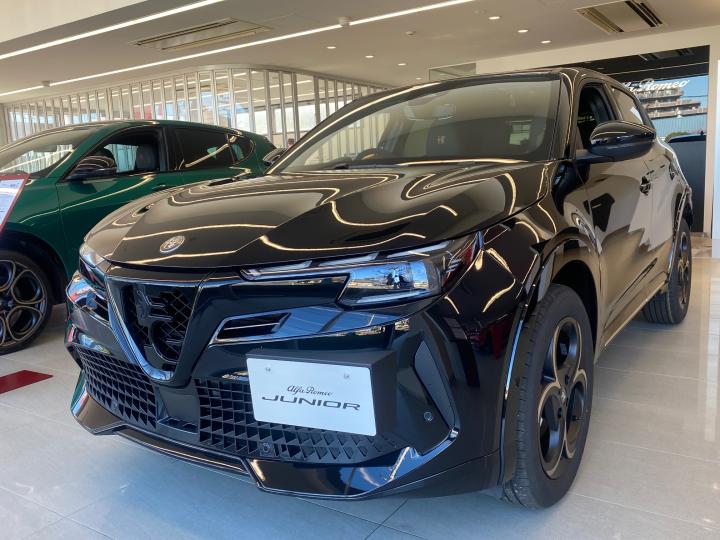 JUNIOR Ibrida INTENSA