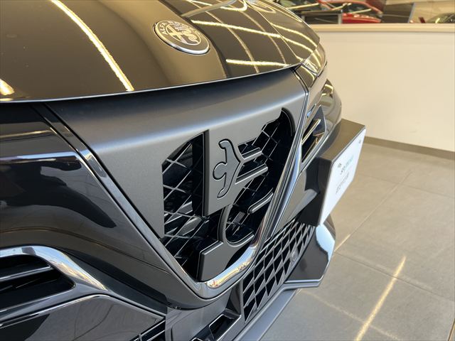 JUNIOR Elettrica PREMIUM