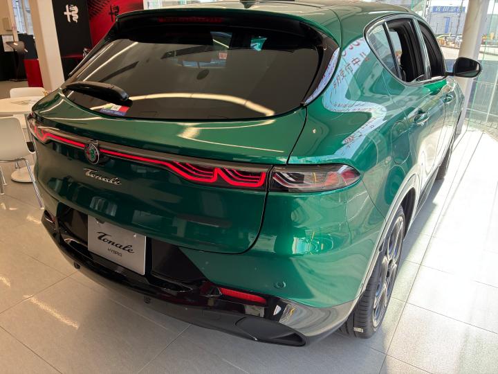 STELVIO 2.0 TURBO Q4 INTENSA