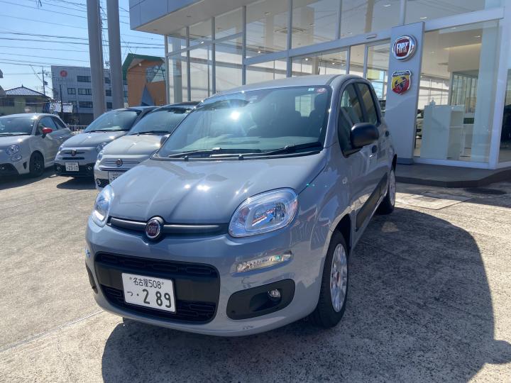 Panda [販売終了]Easy