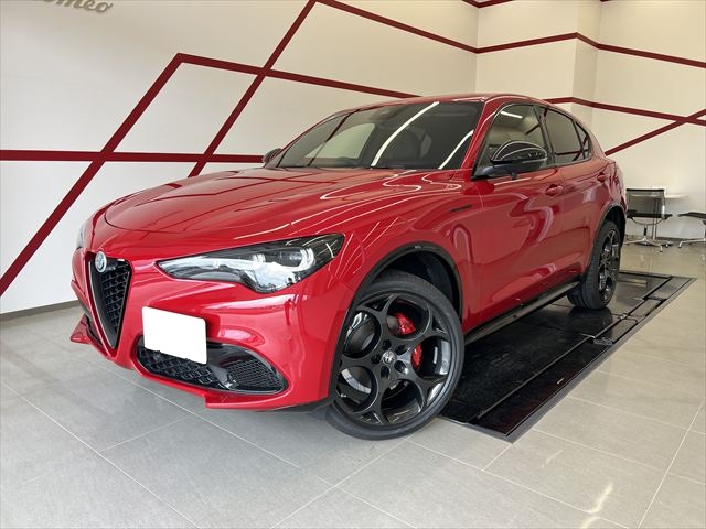STELVIO 2.0 TURBO Q4 COMPETIZIONE
