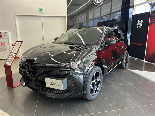 JUNIOR Ibrida INTENSA