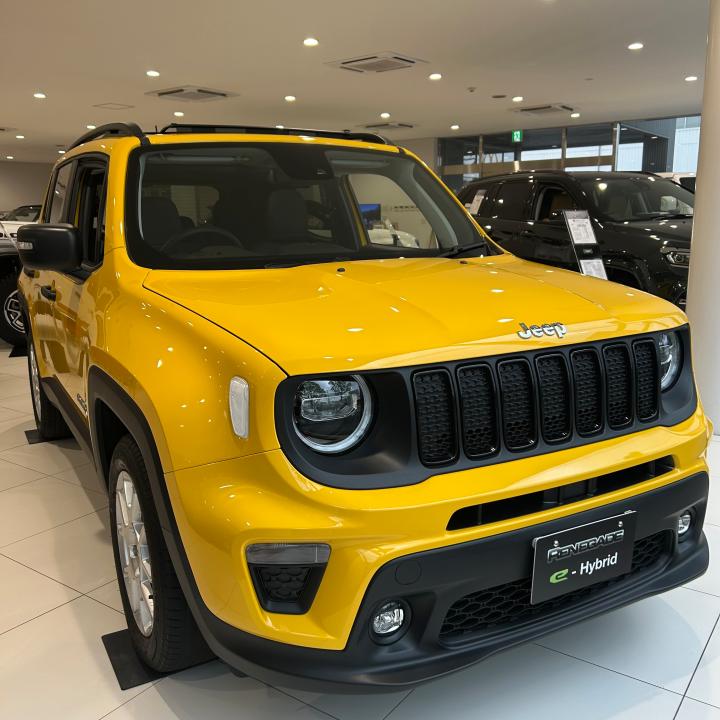 Renegade Altitude e-Hybrid
