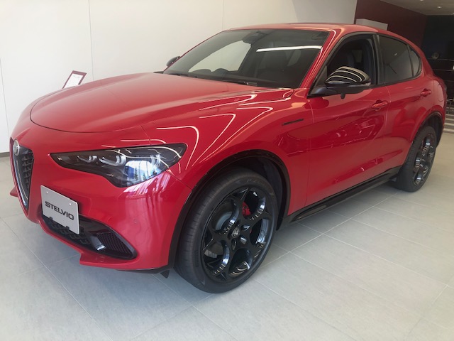 STELVIO 2.0 TURBO Q4 COMPETIZIONE