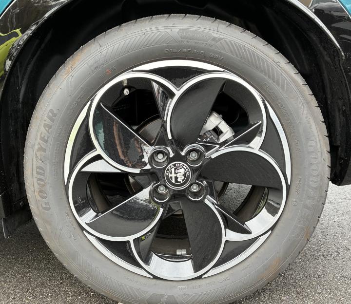 JUNIOR Ibrida PREMIUM