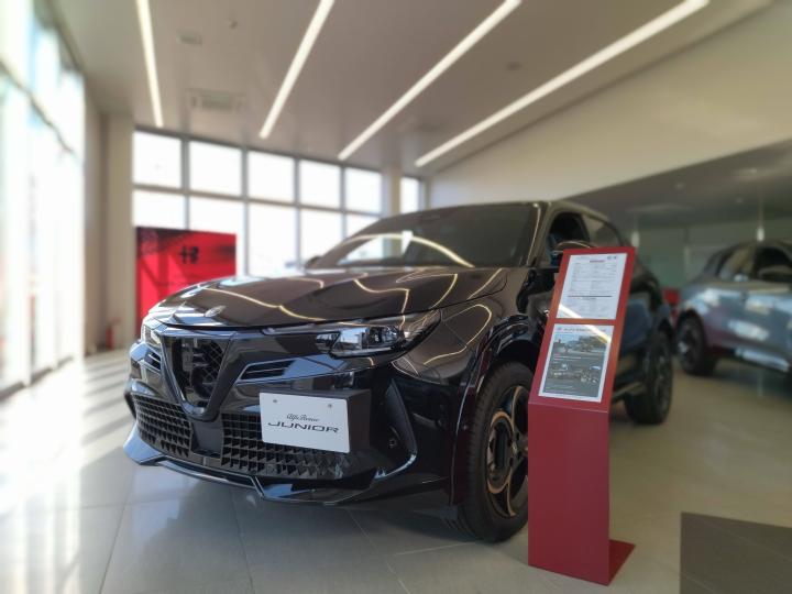 JUNIOR Ibrida INTENSA