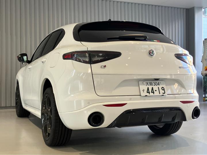 STELVIO TRIBUTO ITALIANO