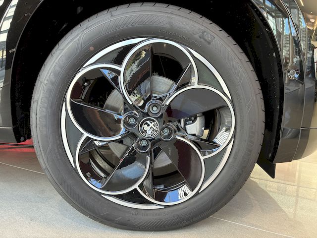 JUNIOR Ibrida PREMIUM