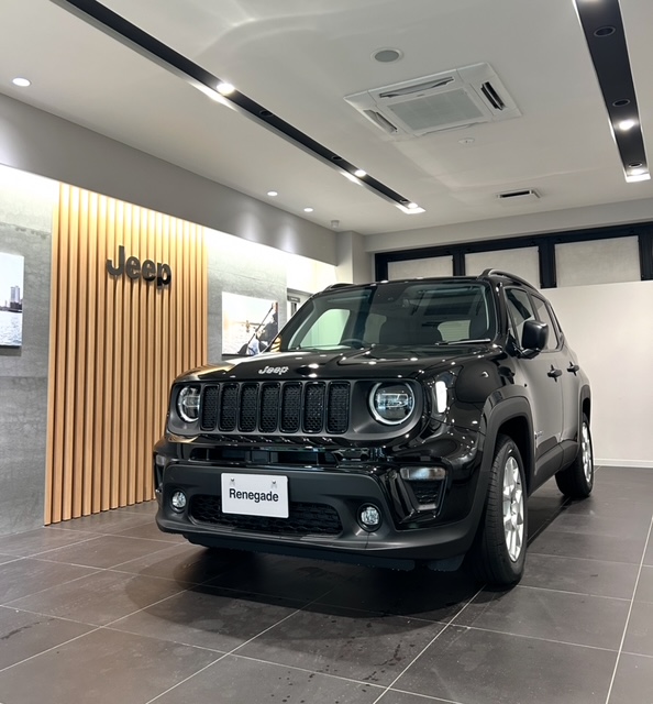 Renegade Altitude e-Hybrid