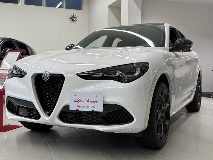 STELVIO TRIBUTO ITALIANO