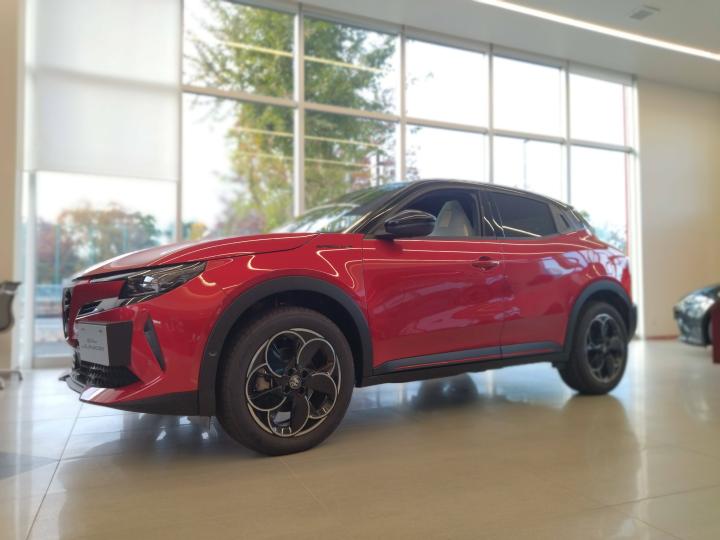 JUNIOR Ibrida SPECIALE