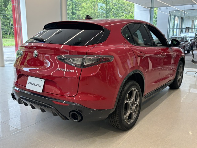 STELVIO 2.0 TURBO Q4 SPRINT