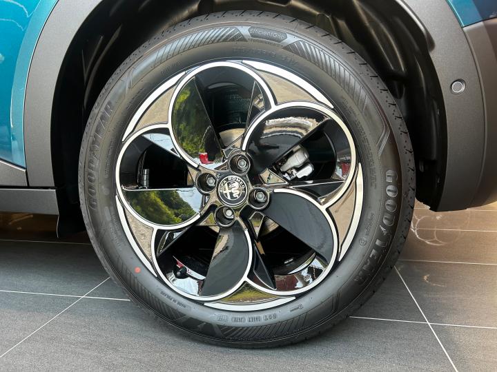 JUNIOR Ibrida SPECIALE