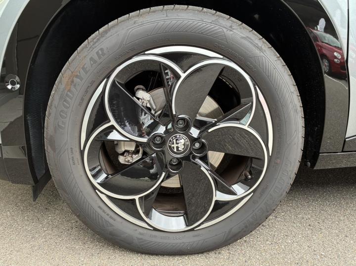 JUNIOR Ibrida PREMIUM
