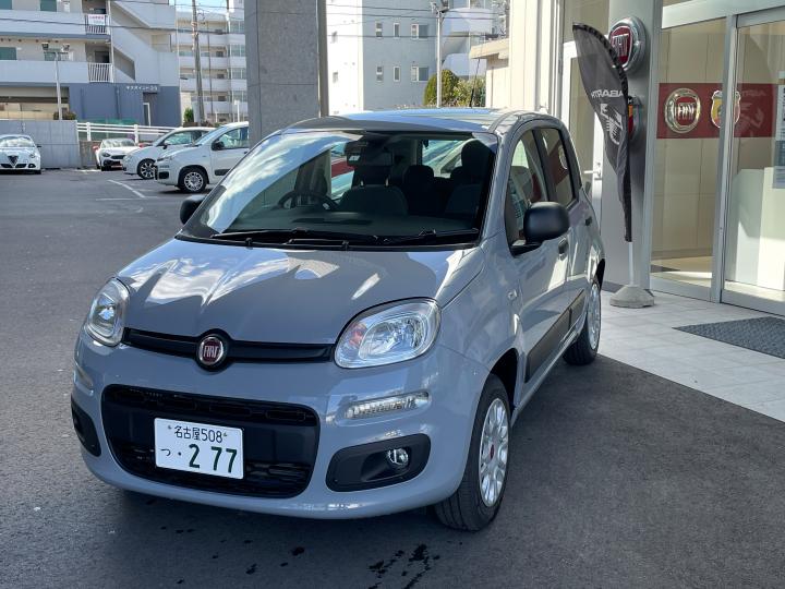 Panda [販売終了]Easy
