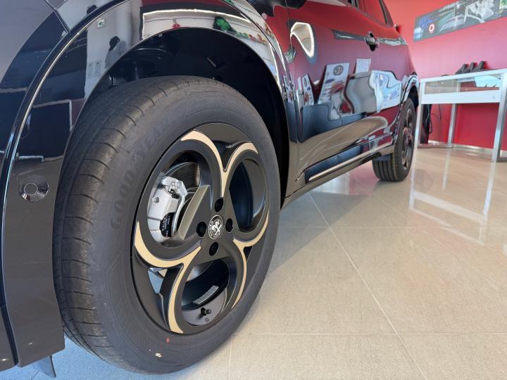 JUNIOR Ibrida INTENSA