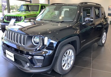 Renegade Limited