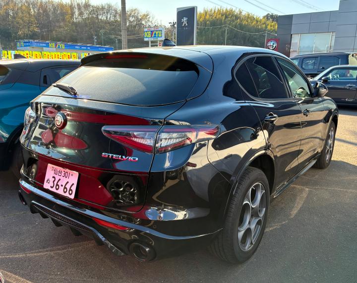 STELVIO 2.0 TURBO Q4 SPRINT