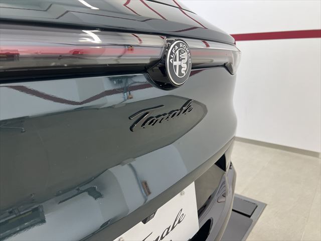 TONALE IBRIDA VELOCE