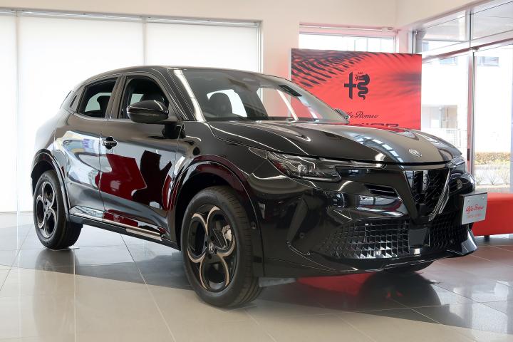 JUNIOR Ibrida INTENSA