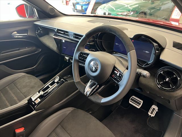 JUNIOR Ibrida INTENSA