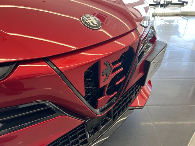 JUNIOR Ibrida INTENSA