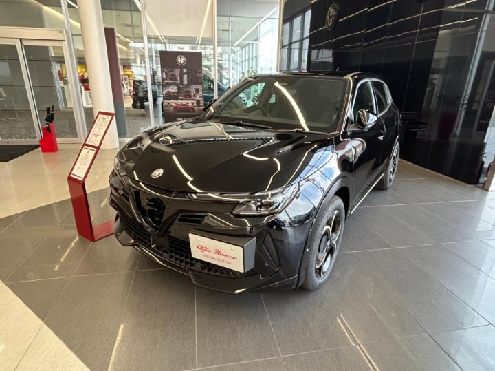 JUNIOR Ibrida INTENSA