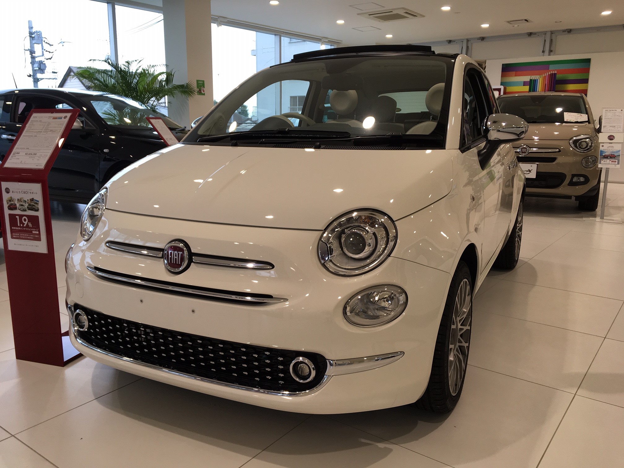 500C IVORY TOP 限定車登場☆｜アバルト杉並スタッフブログ