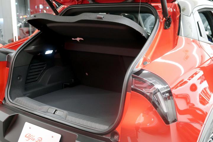 JUNIOR Ibrida SPECIALE