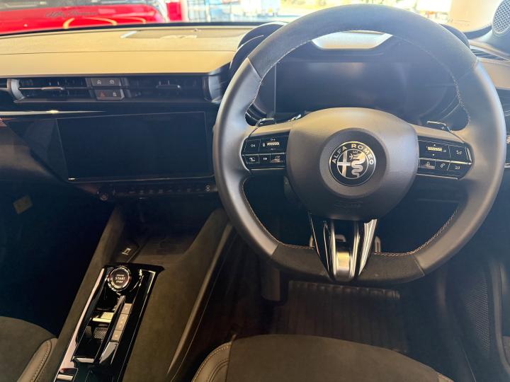 JUNIOR Ibrida INTENSA